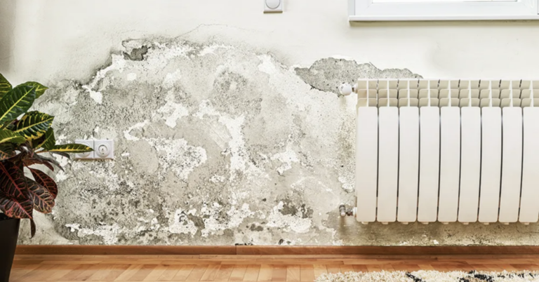 Aufsteigende Feuchtigkeit an der Wand