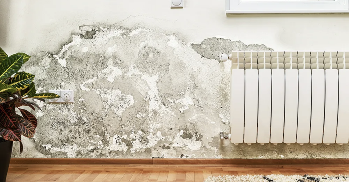 Aufsteigende Feuchtigkeit an der Wand