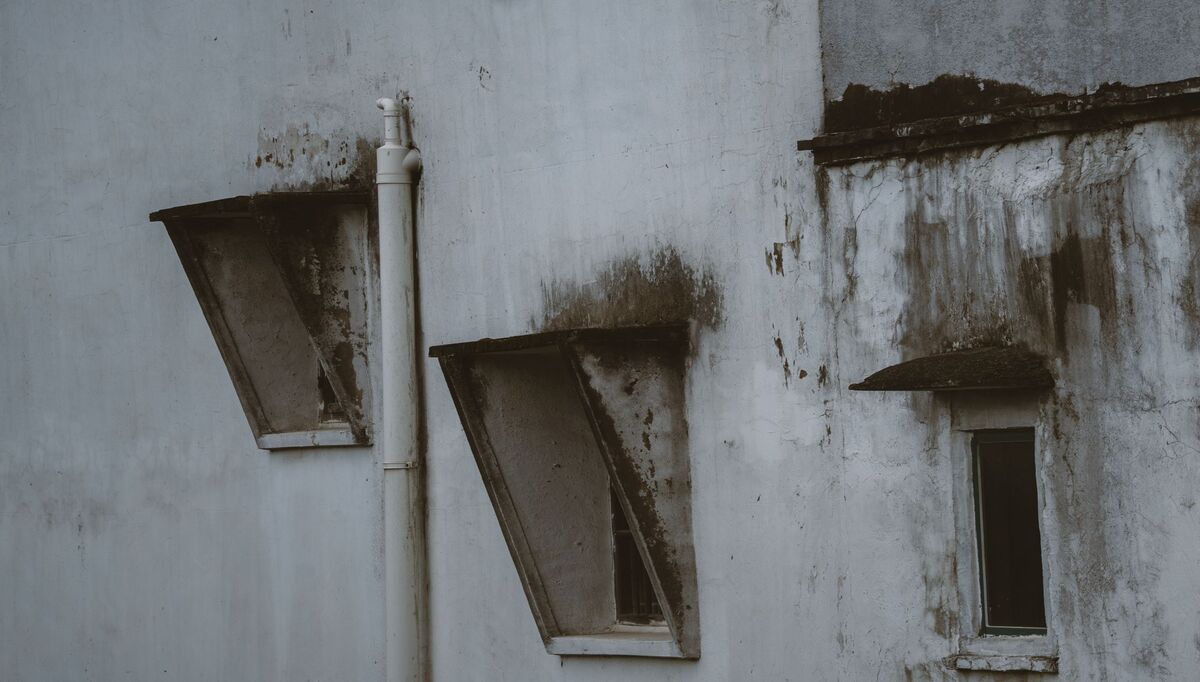 Schimmel Fenster